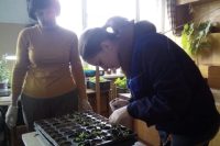 агроном 1 агроном 1