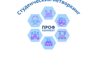 Студенческий нетворкинг